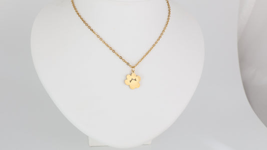 Stainless steel paw pendant with necklace Only engrave name ( no prints or portraits )