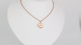 Load image into Gallery viewer, Paw pendant with necklace
