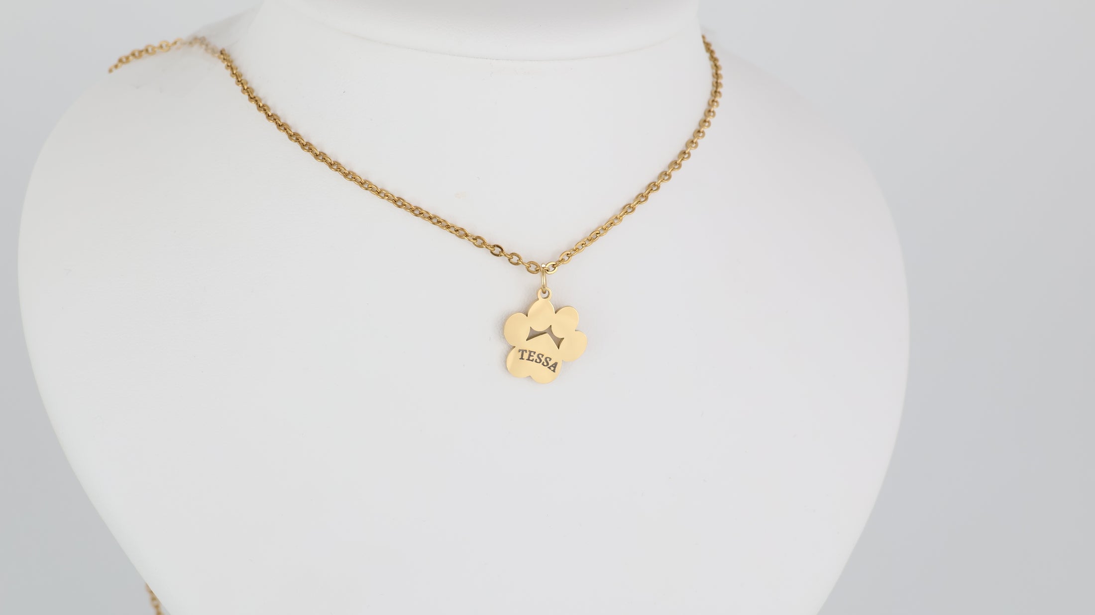 Paw pendant with necklace
