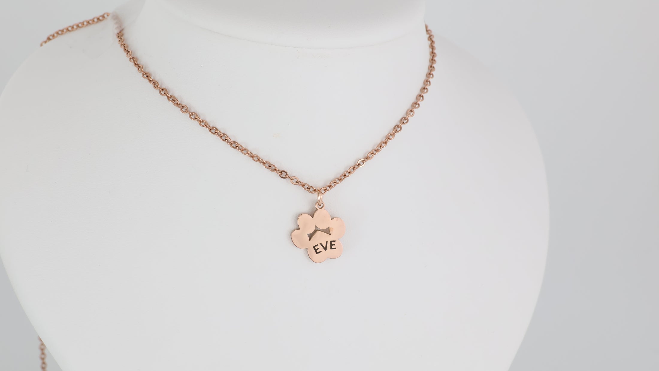 Paw pendant with necklace