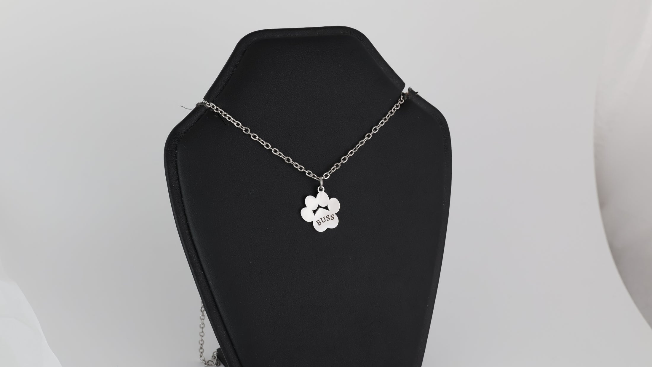 Paw pendant with necklace