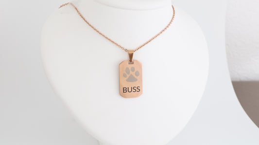 Dog tag pendant with necklace